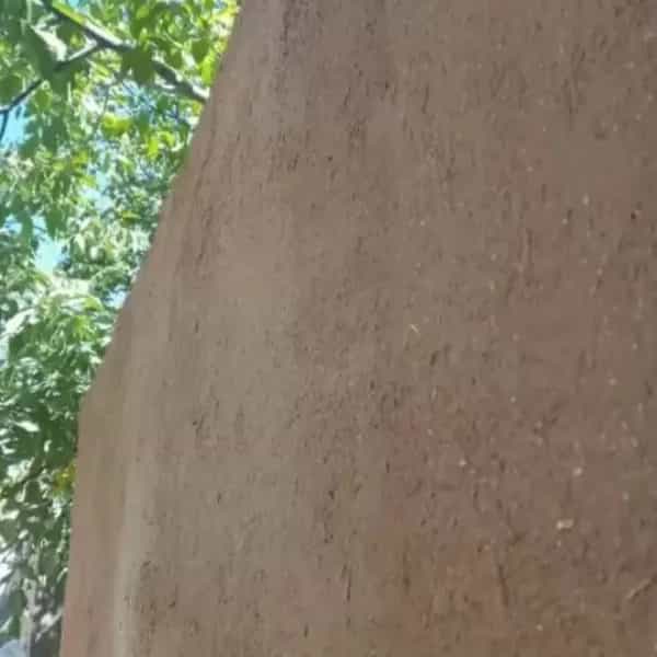 1701255189381.webp