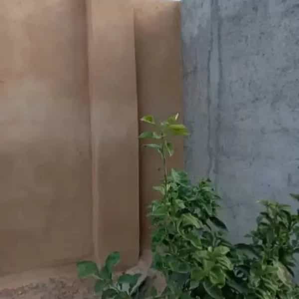 1701255194459.webp