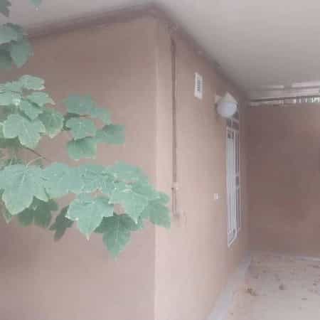 1718086611650.webp
